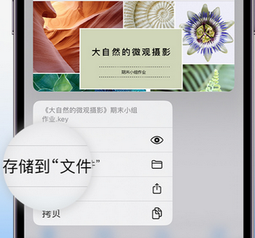 安康apple维修中心分享iPhone文件应用中存储和找到下载文件