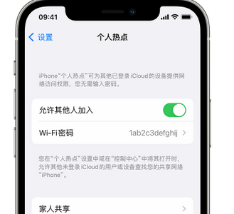 安康apple服务站点分享iPhone上个人热点丢失了怎么办