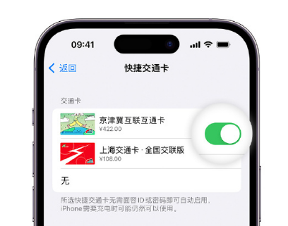 安康apple维修点分享iPhone上更换Apple Pay快捷交通卡手绘卡面 