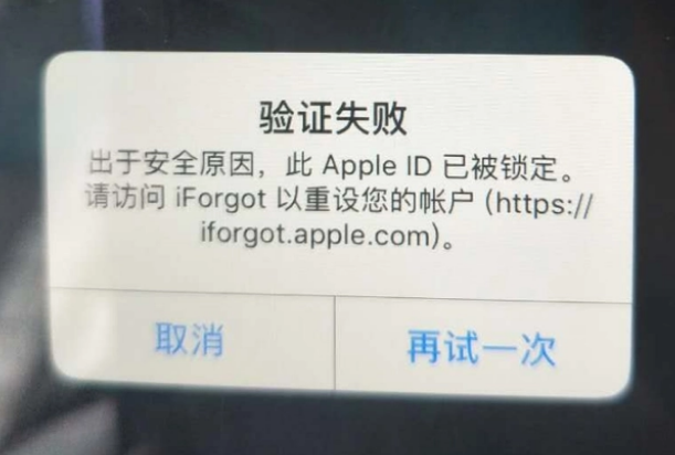 安康iPhone维修分享iPhone上正常登录或使用AppleID怎么办 