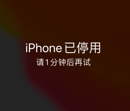 安康苹果手机维修分享:iPhone 显示“不可用”或“已停用”怎么办？还能保留数据吗？ 