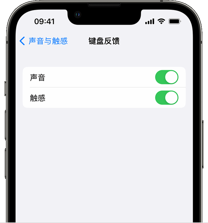 安康苹果14维修店分享如何在 iPhone 14 机型中使用触感键盘 