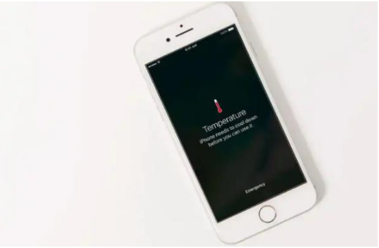 安康苹果手机维修分享iPhone 手机发热如何快速降温 