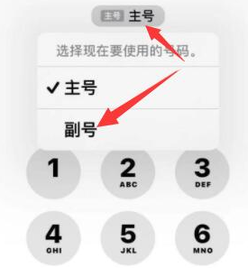 安康苹果14维修店分享iPhone 14 Pro Max使用副卡打电话的方法 