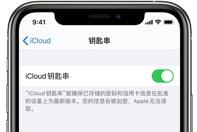 安康苹果手机维修分享在 iPhone 上开启 iCloud 钥匙串之后会储存哪些信息 