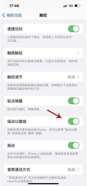 安康苹果手机维修分享iPhone手机如何设置摇一摇删除文字 